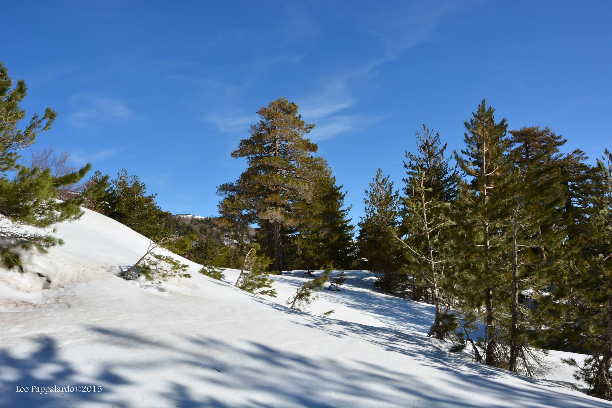 nte Conca-11-04-2015 19-38-15